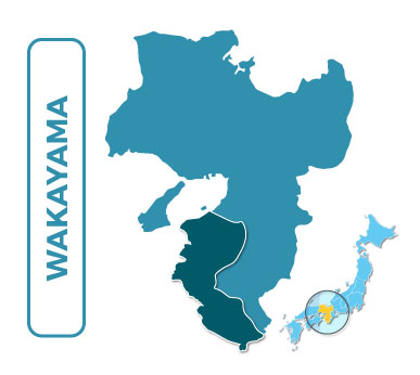 Log Rafting in Dorokyo Gorge, ล่องแก่ง, Map, แผนที่, Japan, Wakayama เมืองวากายามะ, เที่ยวญี่ปุ่น, ญี่ปุ่นราคาถูก, ทัวร์ญี่ปุ่น