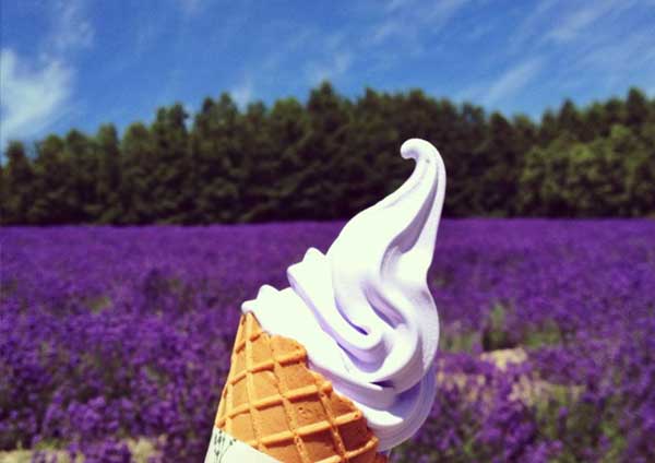 Lavender Soft Cream